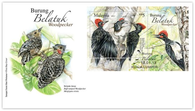 Woodpecker MS FDC