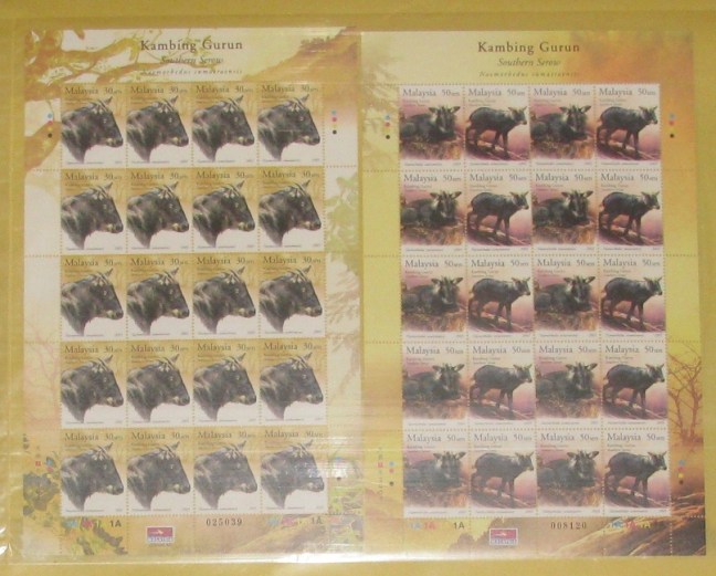 2003 Year of the Goat