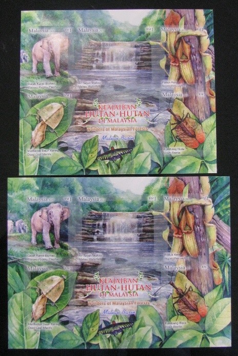 Cut and Uncut Forest