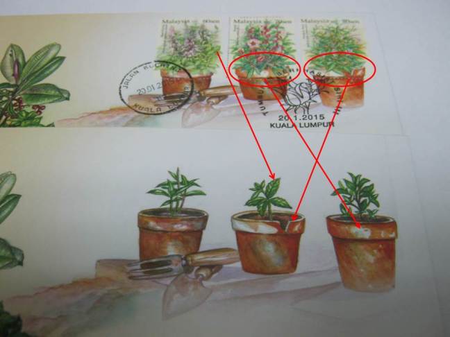 Matching Errors Medicinal Plants Series 3