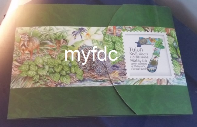 7 Wonder Empty Folder